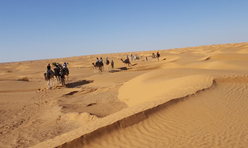 - Djerba desert balade